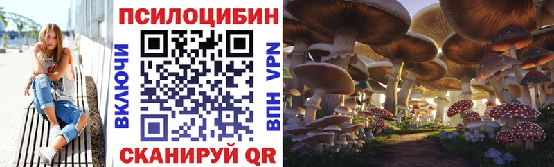 Псилоцибиновые грибы MAGIC MUSHROOMS  MEGA как войти  Избербаш 